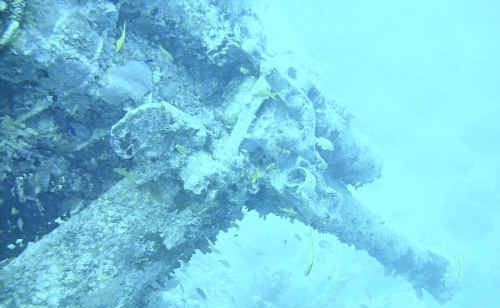 The deck gun of the Thistlegorm, a ship destroyed in the Second World War by German bombers who were actually meant to destroy the Queen Mary, a troopship carrying Grafton man Henry Caldwell and 2000 other soldiers from Sydney to Egypt. The deck gun of the Thistlegorm, a ship destroyed in the Second World War by German bombers who were actually meant to destroy the Queen Mary, a troopship carrying Grafton man Henry Caldwell and 2000 other soldiers from Sydney to Egypt.